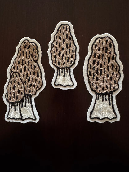 Morel Mushroom