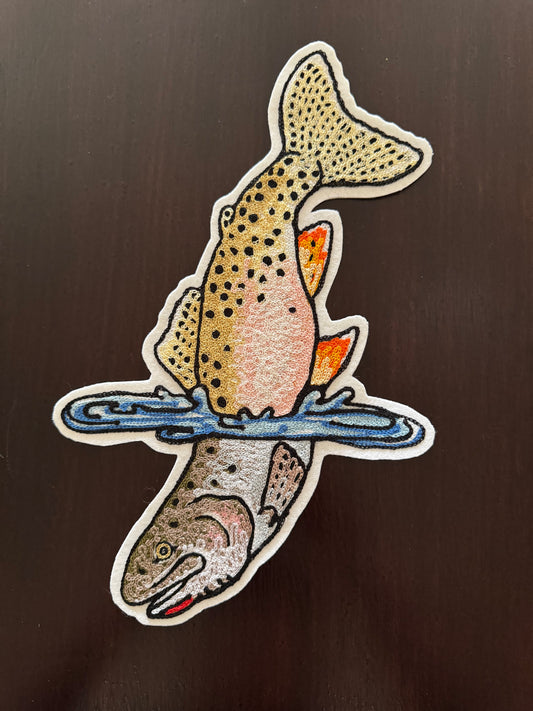West Slope Cutthroat in Water Patch