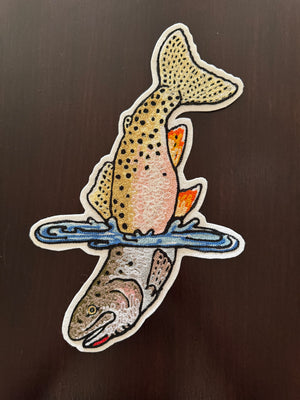West Slope Cutthroat in Water Patch
